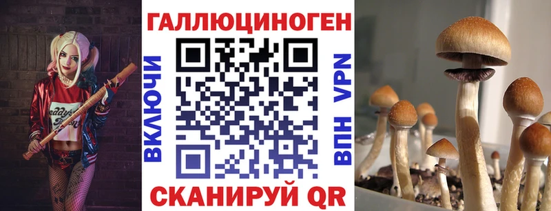 Псилоцибиновые грибы ЛСД  купить   Ермолино 